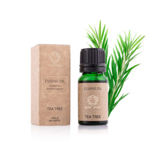 Aceite esencial - Árbol de té